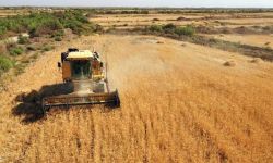 الأردن تدرس سبل استيراد القمح من العراق